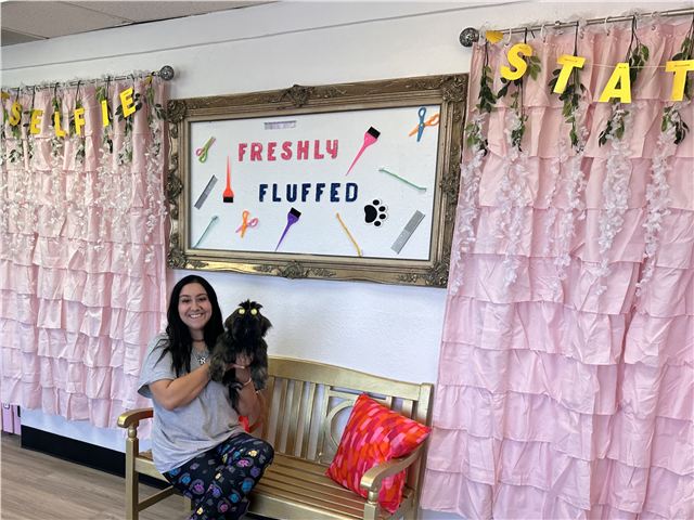Freshly groomed fluffy dog posing at Fresh Pawz Grooming