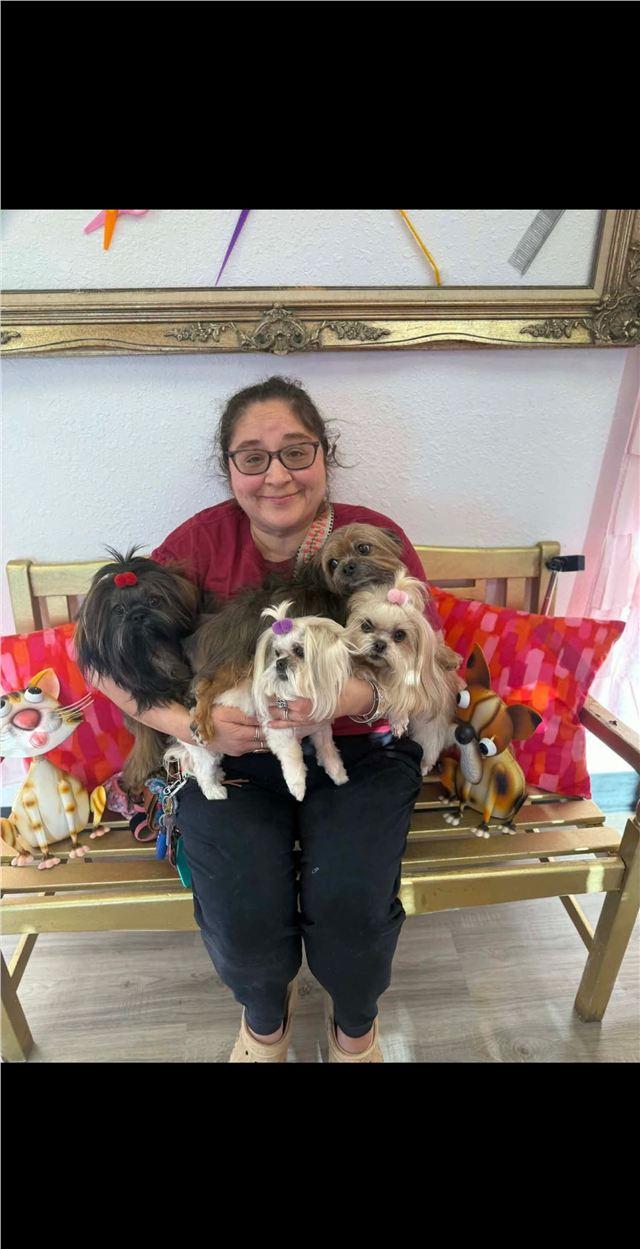 Fresh Pawz groomer holding several freshly groomed small dogs