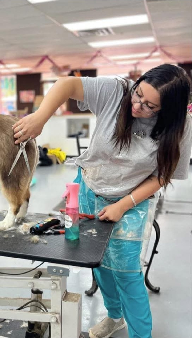 Fresh Pawz owner Emileigh grooming a dog in the salon